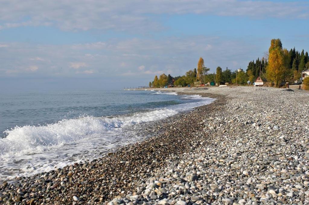 Бархат Tsandrypsh Exteriér fotografie